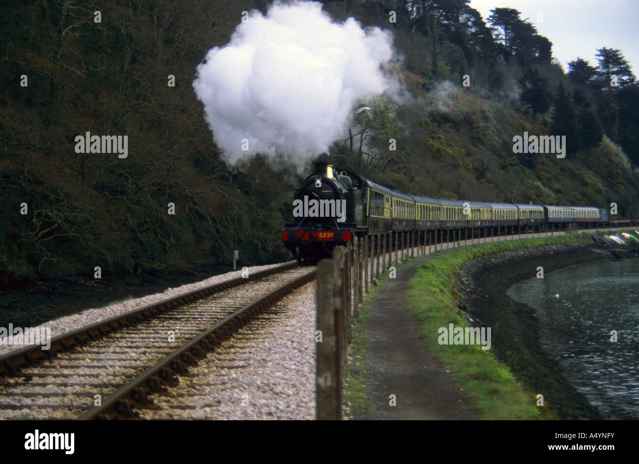 Un train sur le chemin de fer à vapeur de Paignton à Dartmouth tiré du côté de la piste devon Banque D'Images