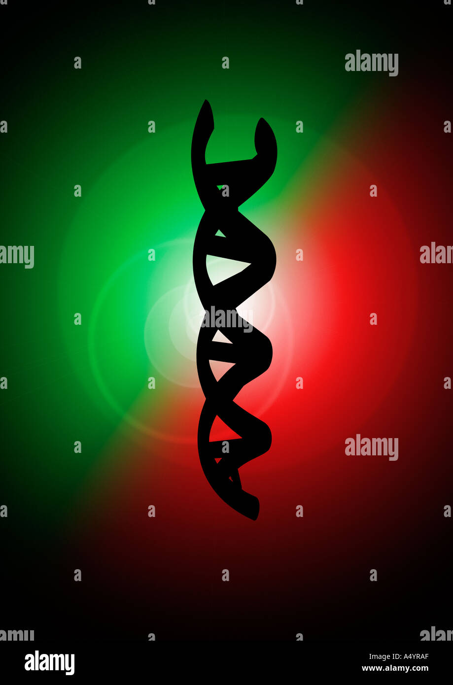 Alpha Helix DNA DNS Doppelhelix Banque D'Images