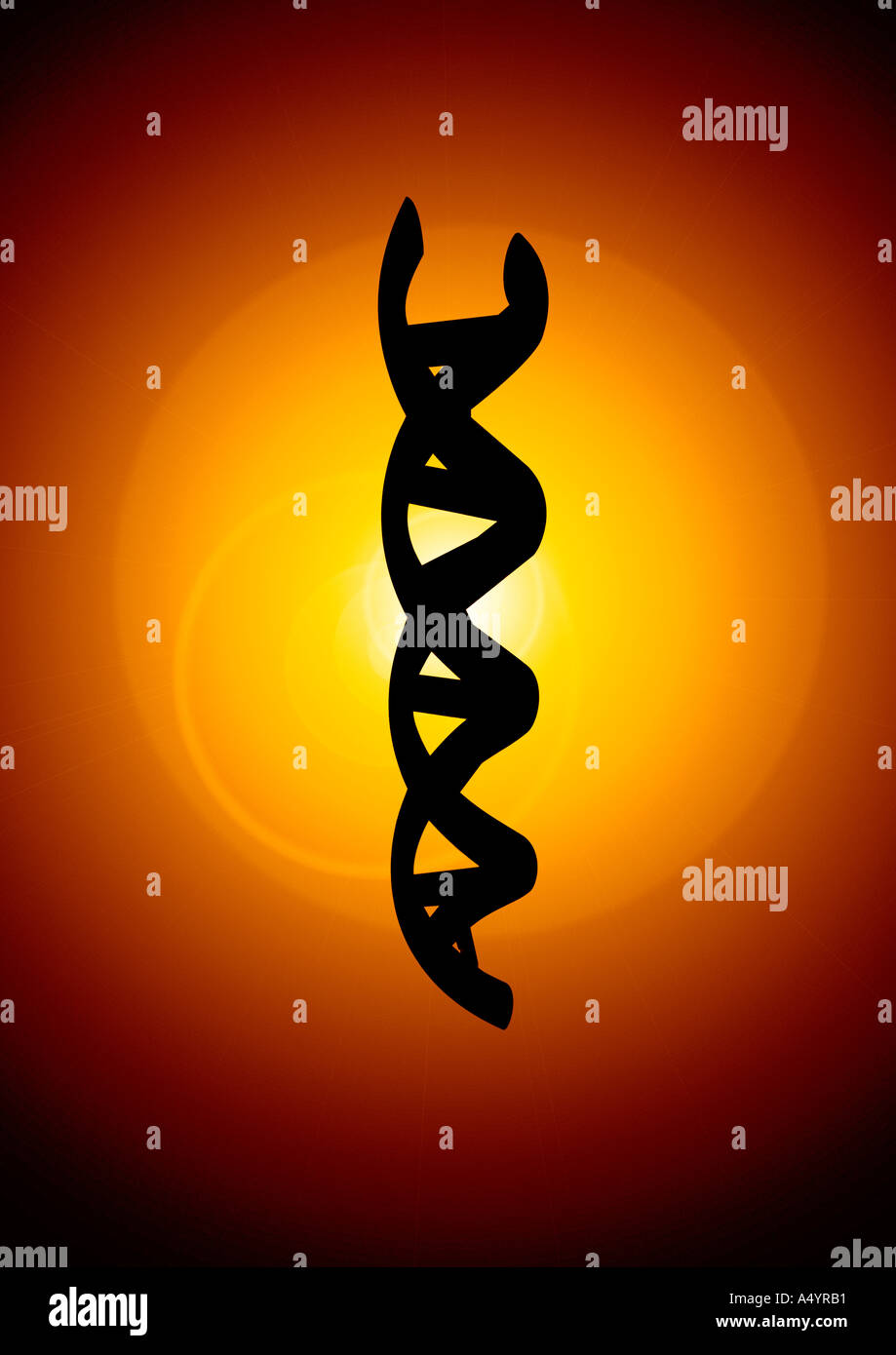Alpha Helix DNA DNS Doppelhelix Banque D'Images
