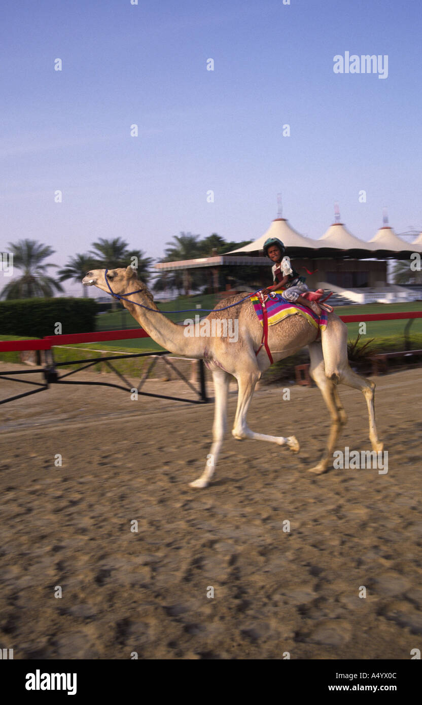Garçon de course de chameaux Dubai Emirats Arabes Unis Banque D'Images