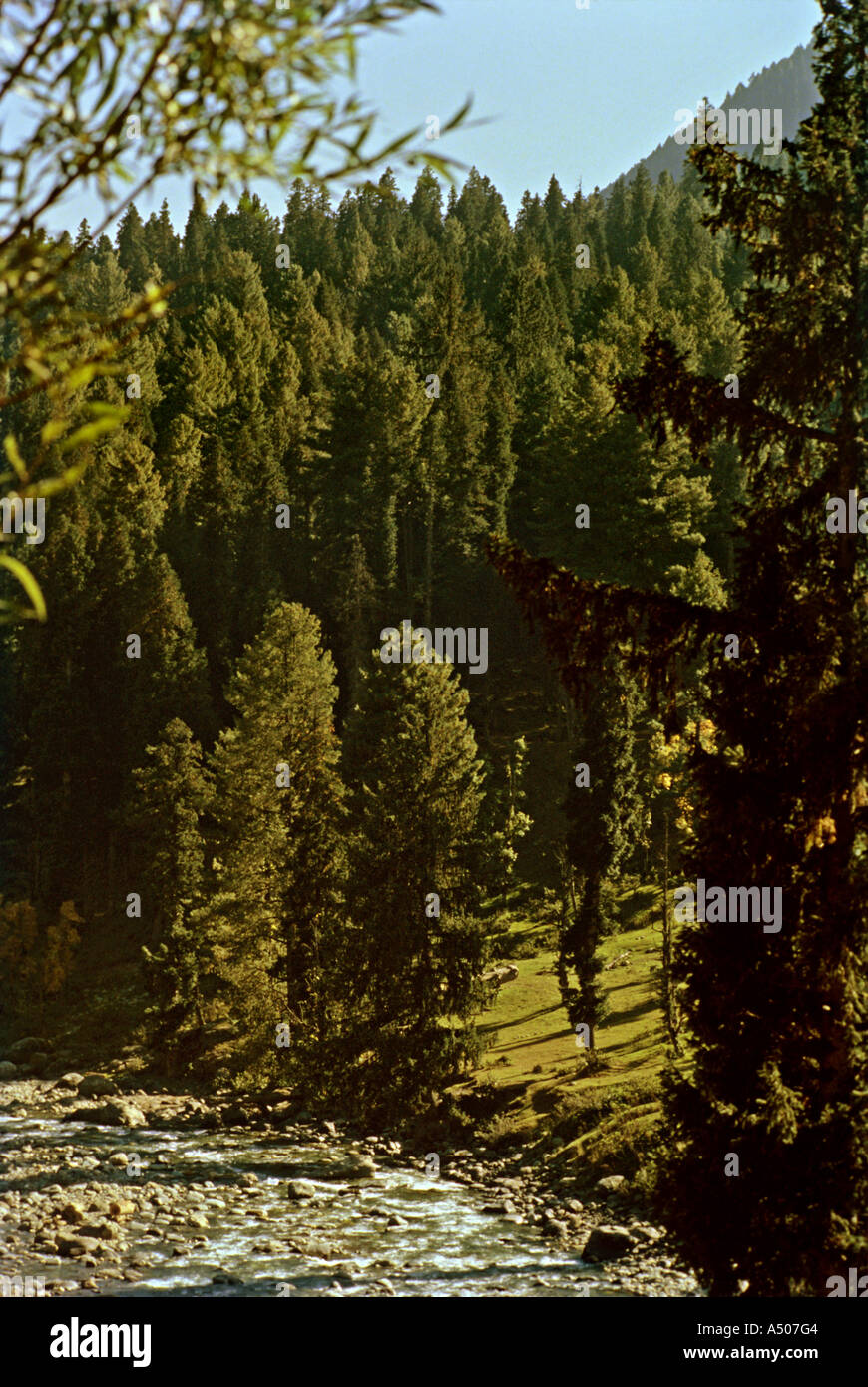 River Lidder près de Pahalgam au Jammu Cachemire Inde Banque D'Images