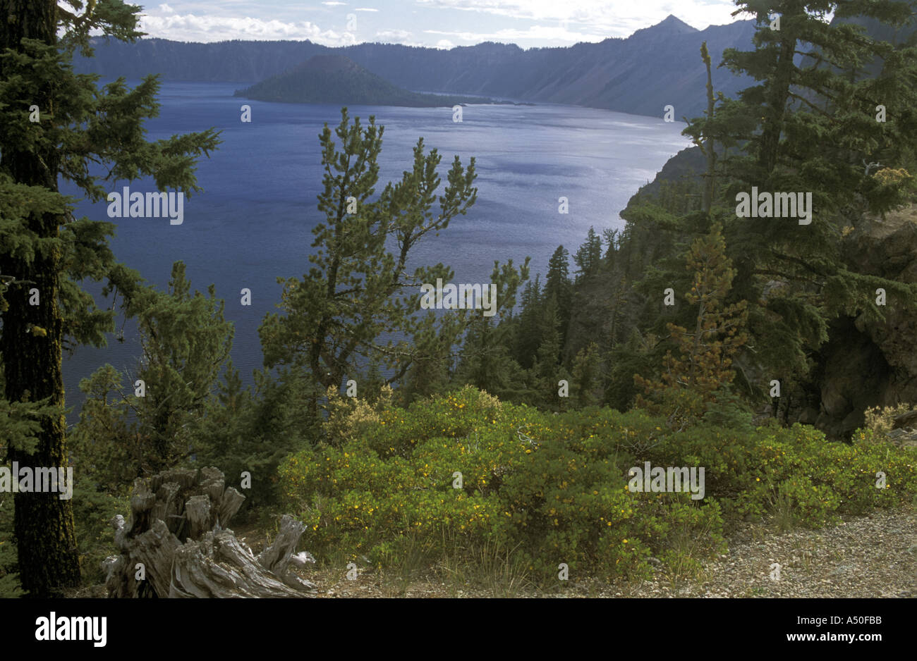 Baie d'acier de l'OREGON Crater Lake National Park Banque D'Images