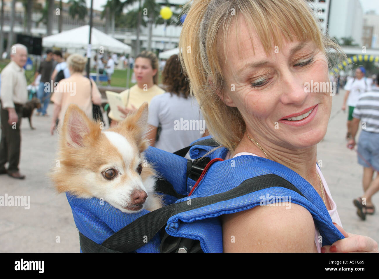 Miami Florida,Bayfront Park,Walk for the Animals,Humane Society event,chiens,animaux de compagnie,canine,animal,adulte femme femme femme femme,porteur,vis Banque D'Images