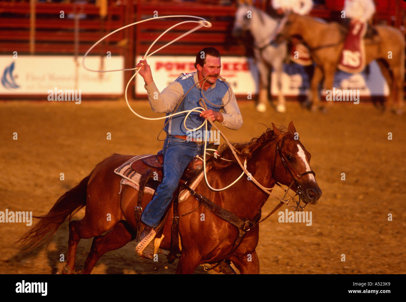 Avec cow-boy à cheval Lariat tourbillonnant sur Rodeo Southern Indiana Banque D'Images