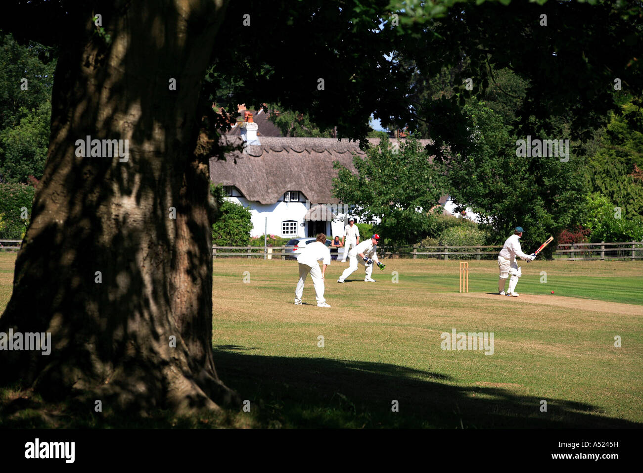 Le match de cricket Swan Lyndhurst Vert Le parc national New Forest Hampshire Angleterre Banque D'Images