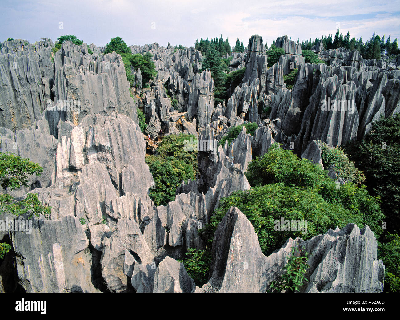 Forêt de pierre, près de Kunming, Yunnan, Chine Banque D'Images