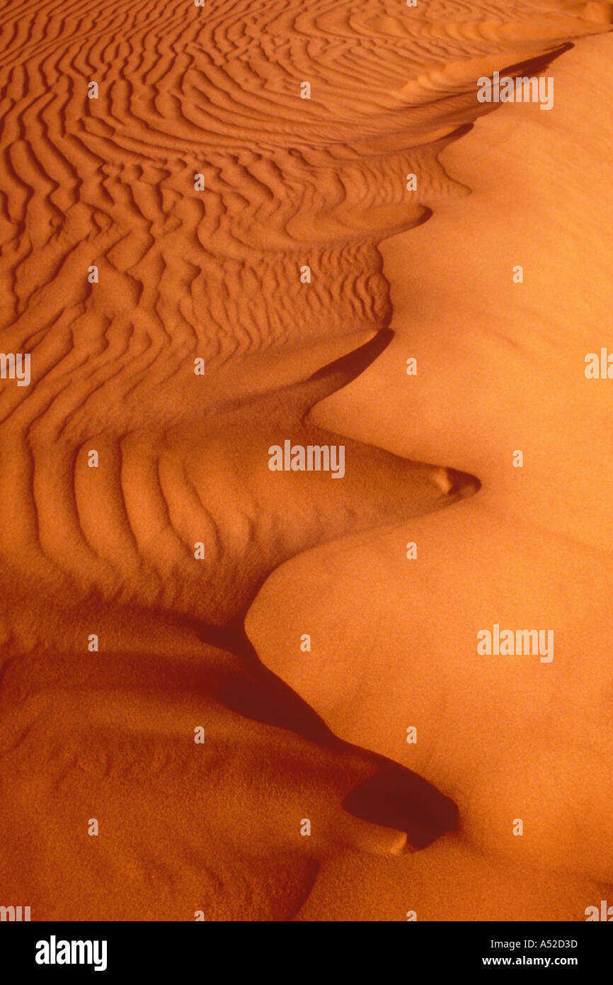 Dune de sable dans la vallée de la mort Banque D'Images