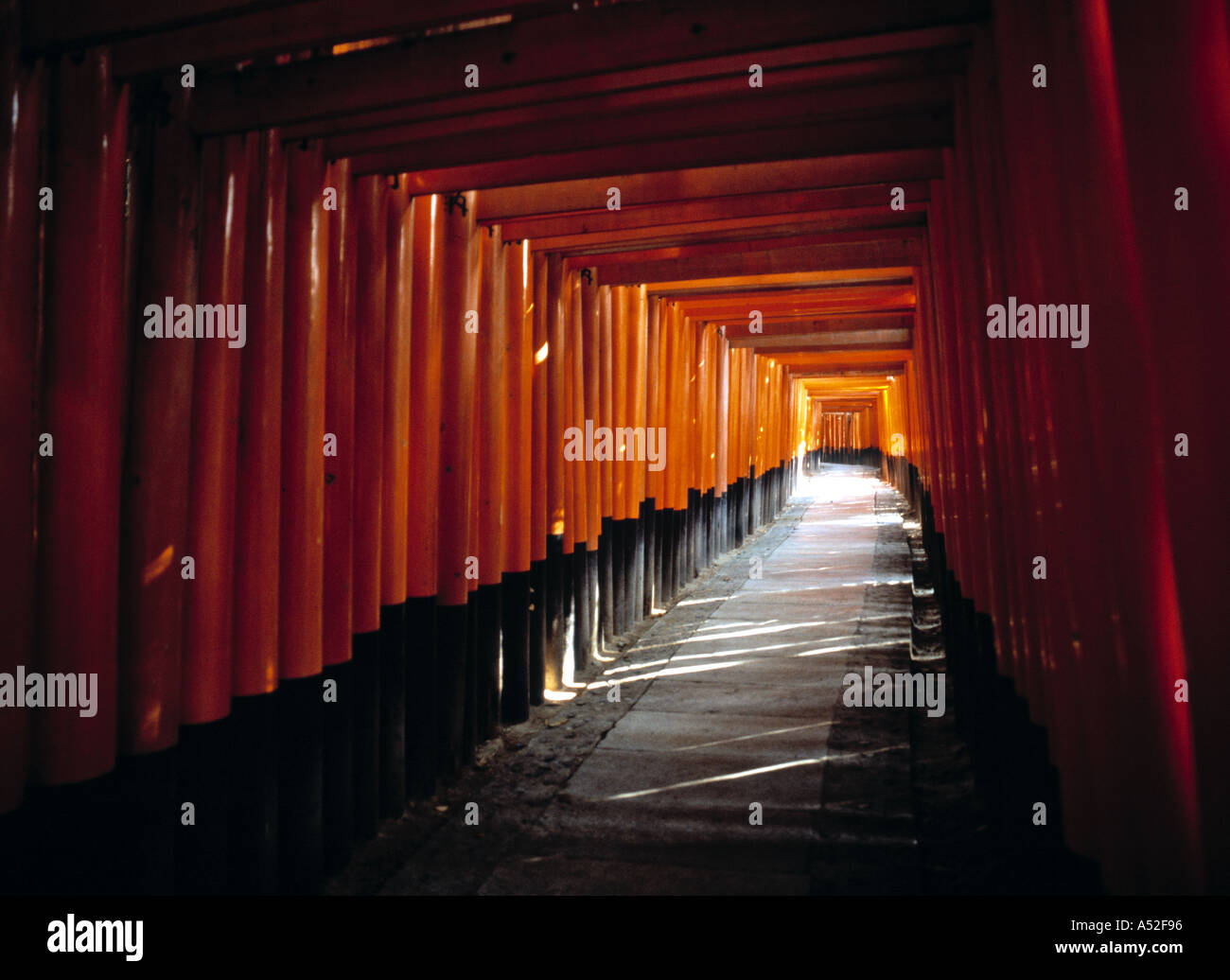 4 km du tunnel de Torii, Kyoto, Japon Banque D'Images