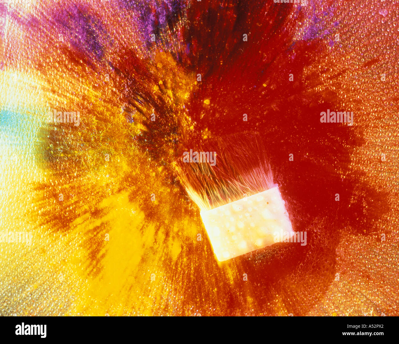 Poudre de couleur jaune et rouge et un pinceau large Banque D'Images