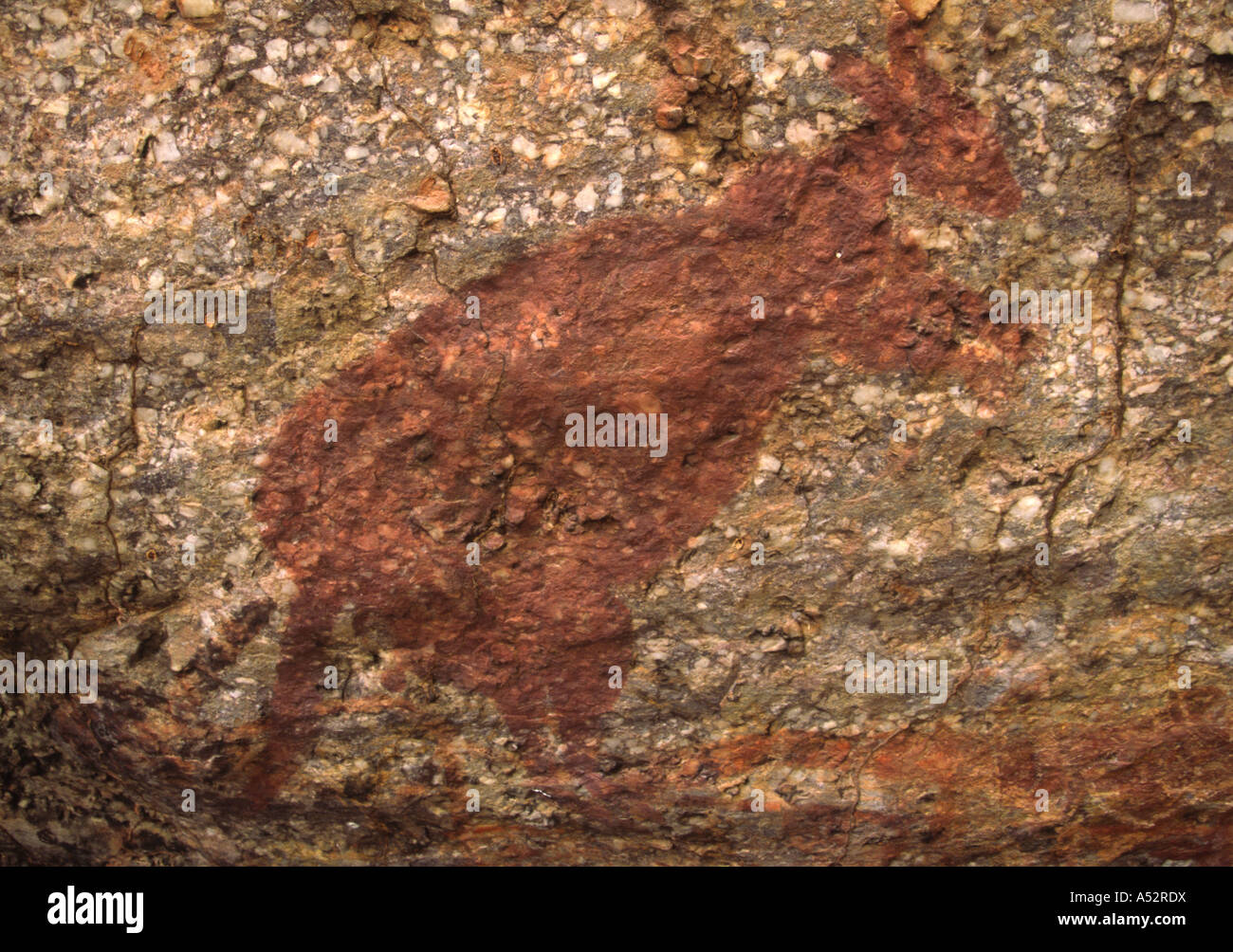 L'art rupestre de Kakadu, Australie IV Banque D'Images