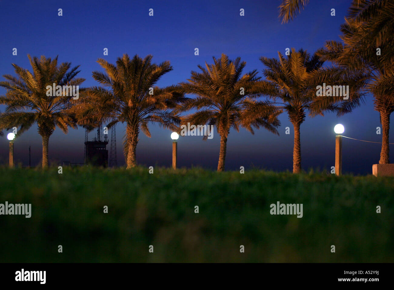 Les palmiers beach Banque D'Images