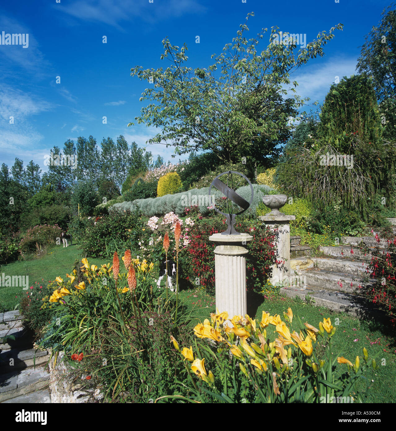 Étapes caractéristiques dans fleurs terrasses dans un jardin en été, Devon en pente Banque D'Images