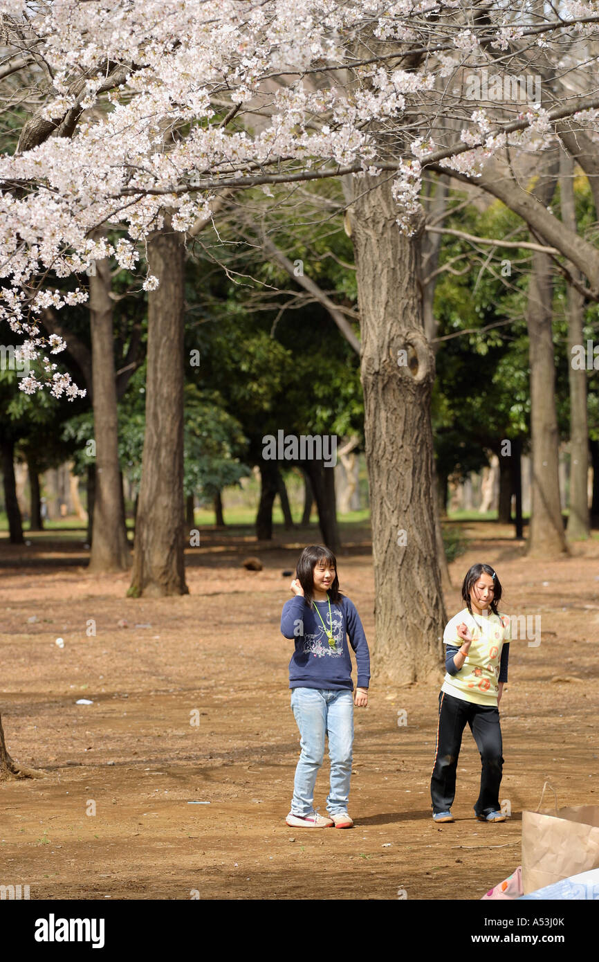 Voyage Tokyo Japon cerisiers personnes jardin paysage magnifique pique-nique danse festival monument Banque D'Images