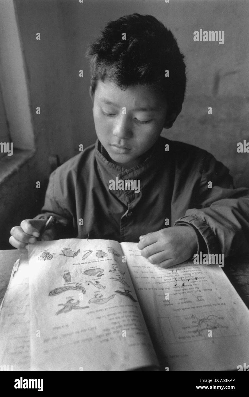 Painet ha1235 011 noir et blanc des étudiants des écoles d'enfants tibétains dharmsala village au pays en développement, pays de l'Inde Banque D'Images