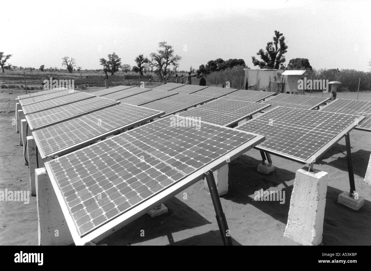 Painet ha1241 017 noir et blanc panneaux électriques solaires technologie utilisée pour pomper de l'eau les pays Sénégal thies Banque D'Images