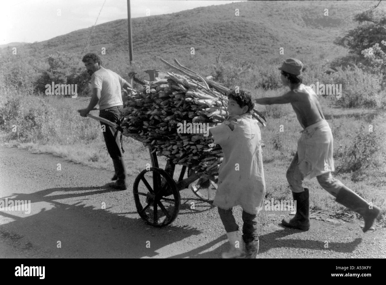 Painet ha1542 311 noir et blanc bois environnement panier nicaragua pays économiquement moins développés Pays en développement Banque D'Images