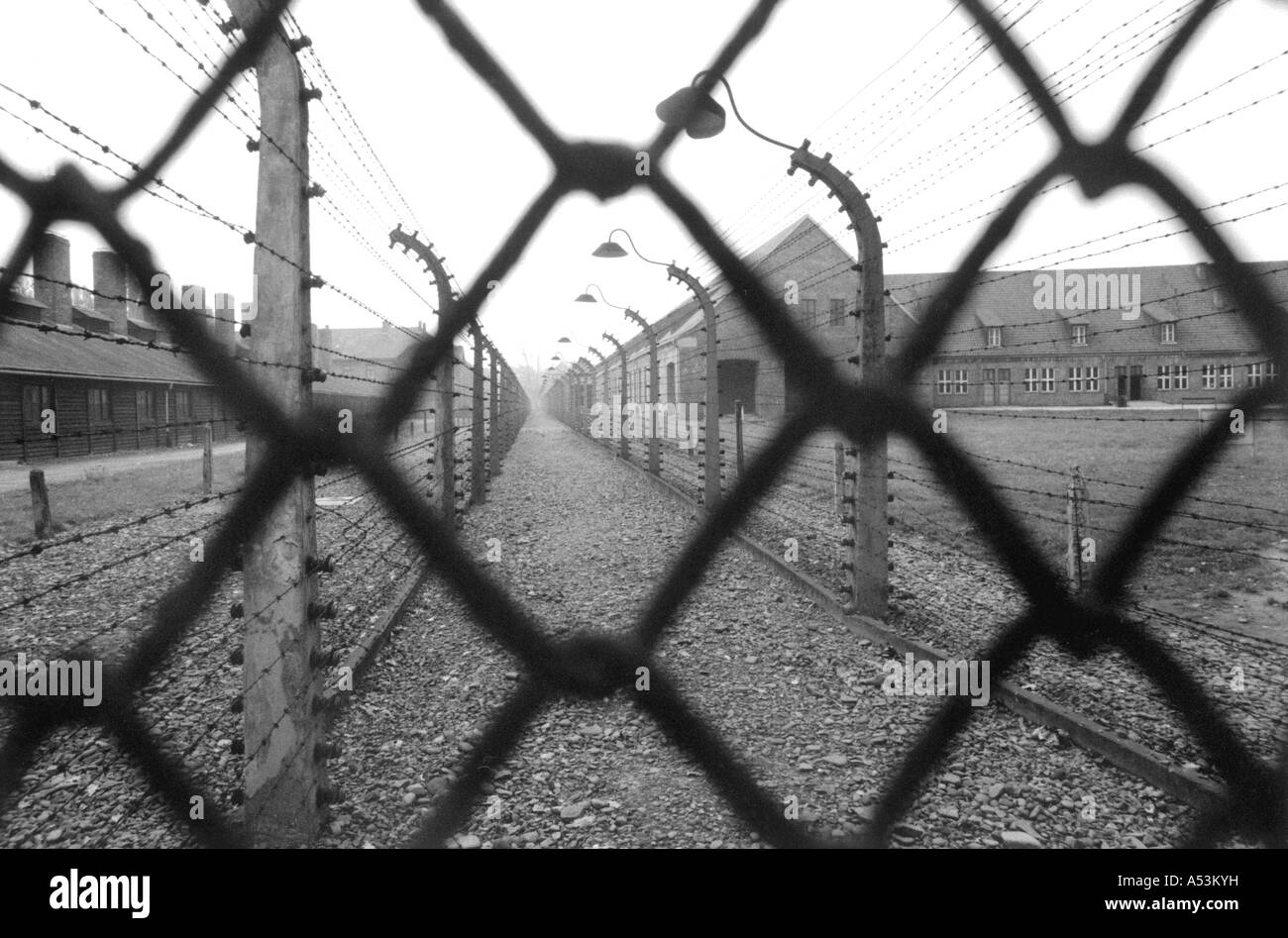 Painet ha1333 133 guerre en noir et blanc du camp de concentration de aushwitz Pologne pays économiquement moins nation en développement Banque D'Images