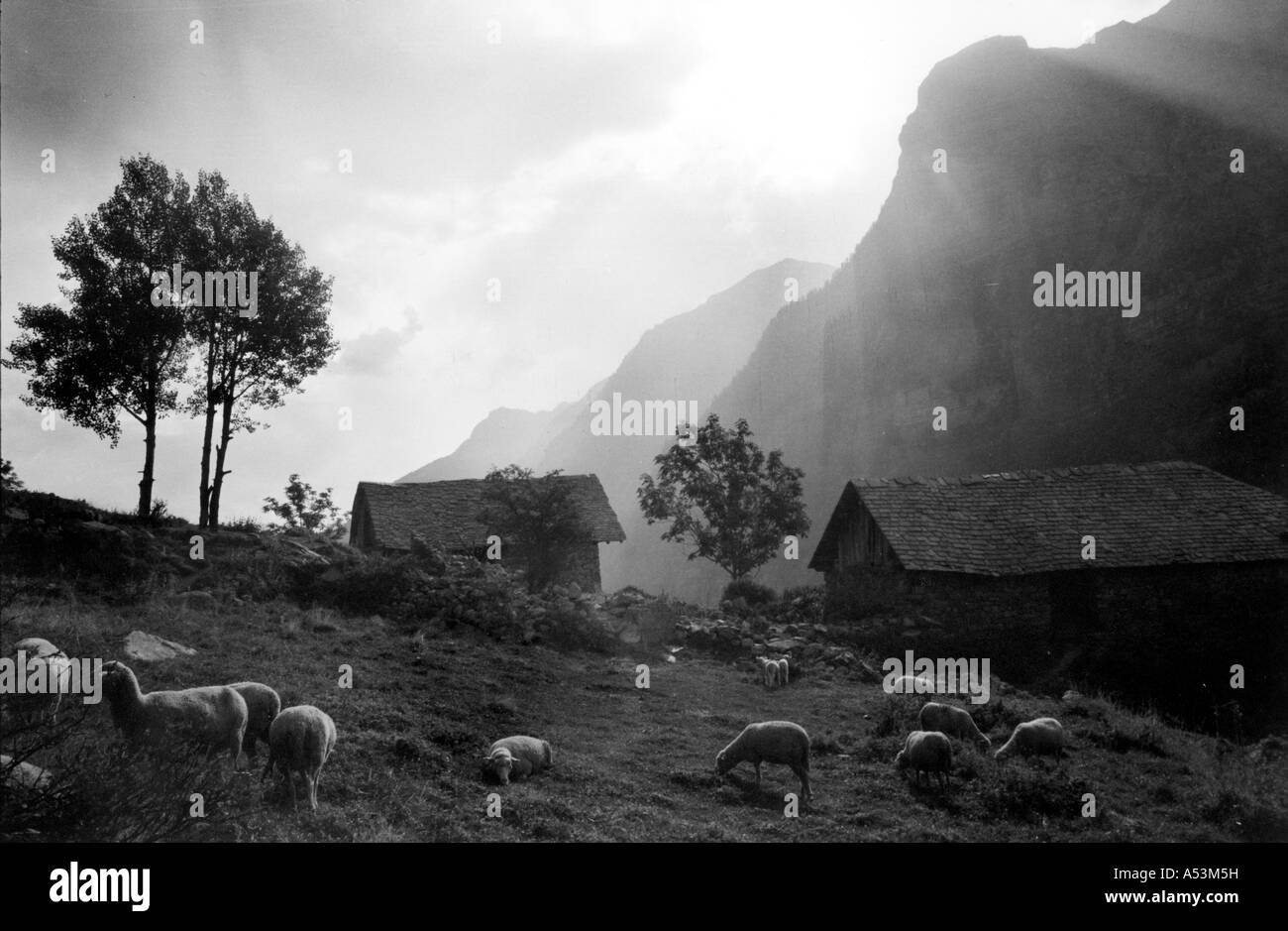 Painet ha1368 177 paysage noir et blanc village alpes du sud france dormillouse au pays en développement, de pays moins Banque D'Images