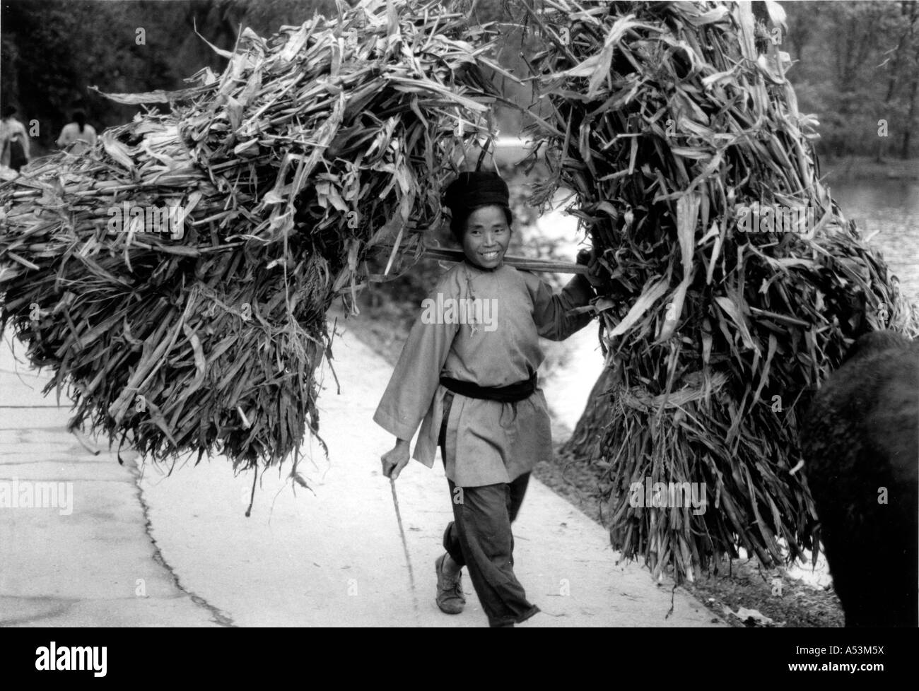 Painet ha1371 180 noir et blanc clabor buyis woman carrying grass guizhou chine pays économiquement au pays en développement, Banque D'Images