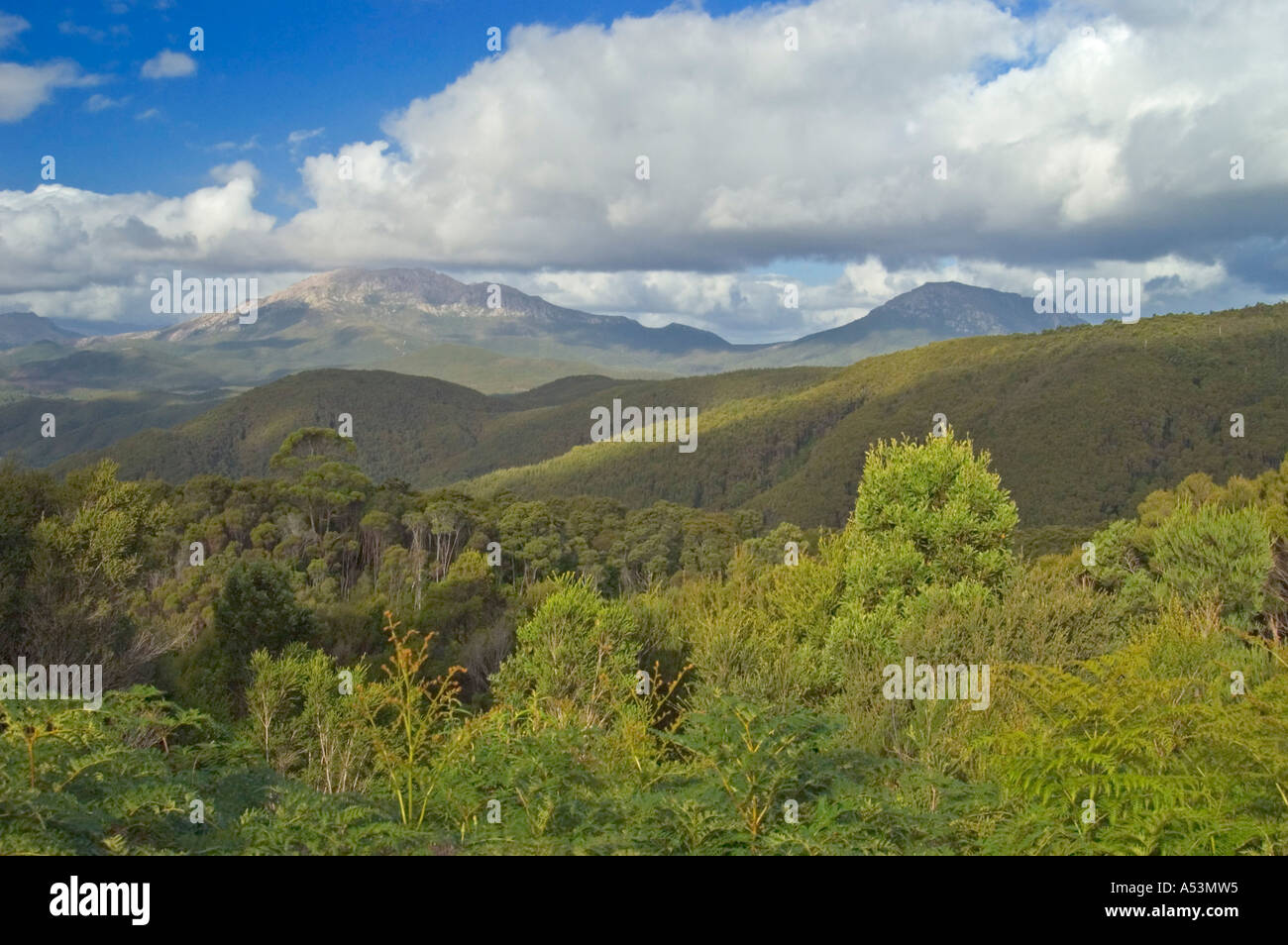 Paysage près de strahan côte ouest de la Tasmanie en Australie Banque D'Images