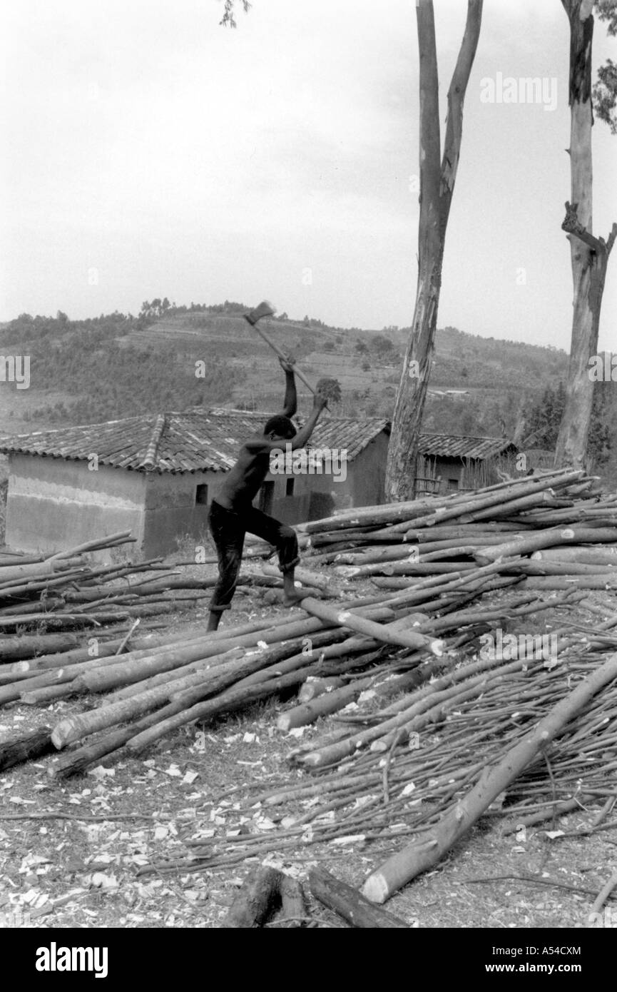 Painet hn1909 484 noir et blanc La coupe de bois de l'homme environnement wanda gitarama au pays en développement, de pays moins Banque D'Images