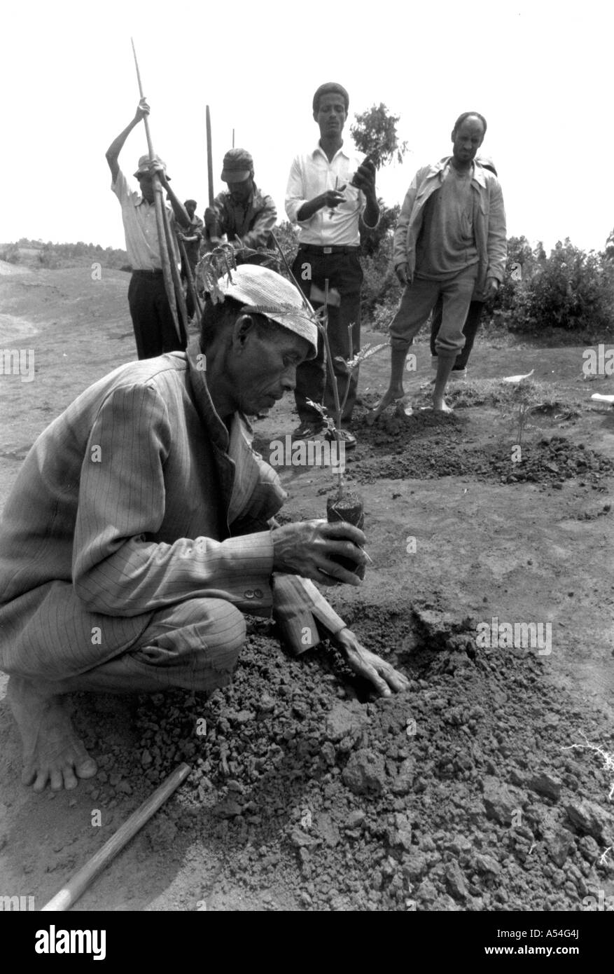 Painet ac1417 noir et blanc pour l'environnement en plantant des arbres de l'ouest zone déboisée shoa Éthiopie images écologie le reboisement Banque D'Images