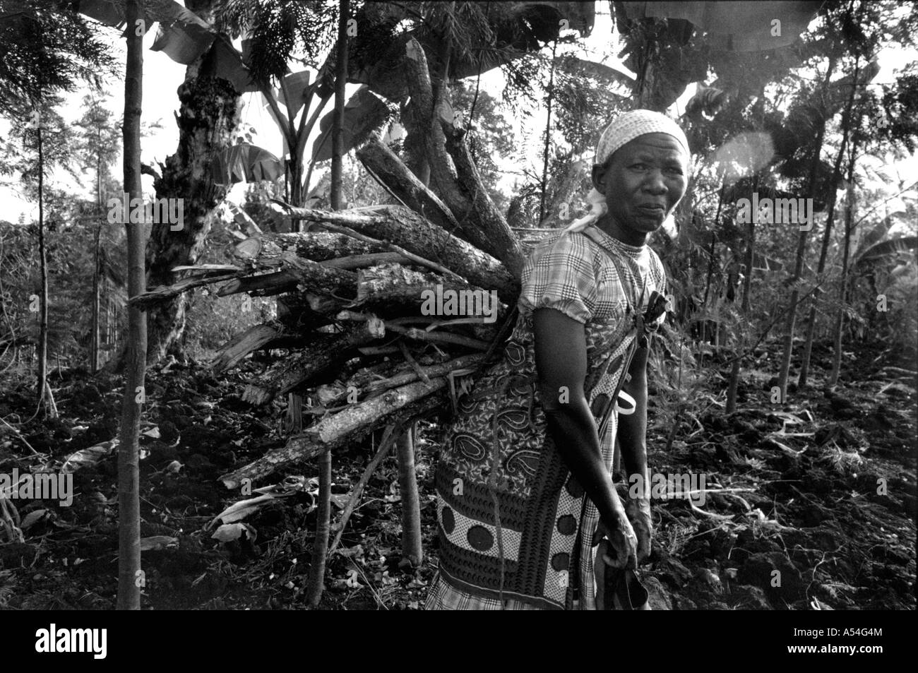 Painet ac1418 environnement noir et blanc femme transportant bois meru kenya sourire fatigué du stress du travail images pays femmes Banque D'Images