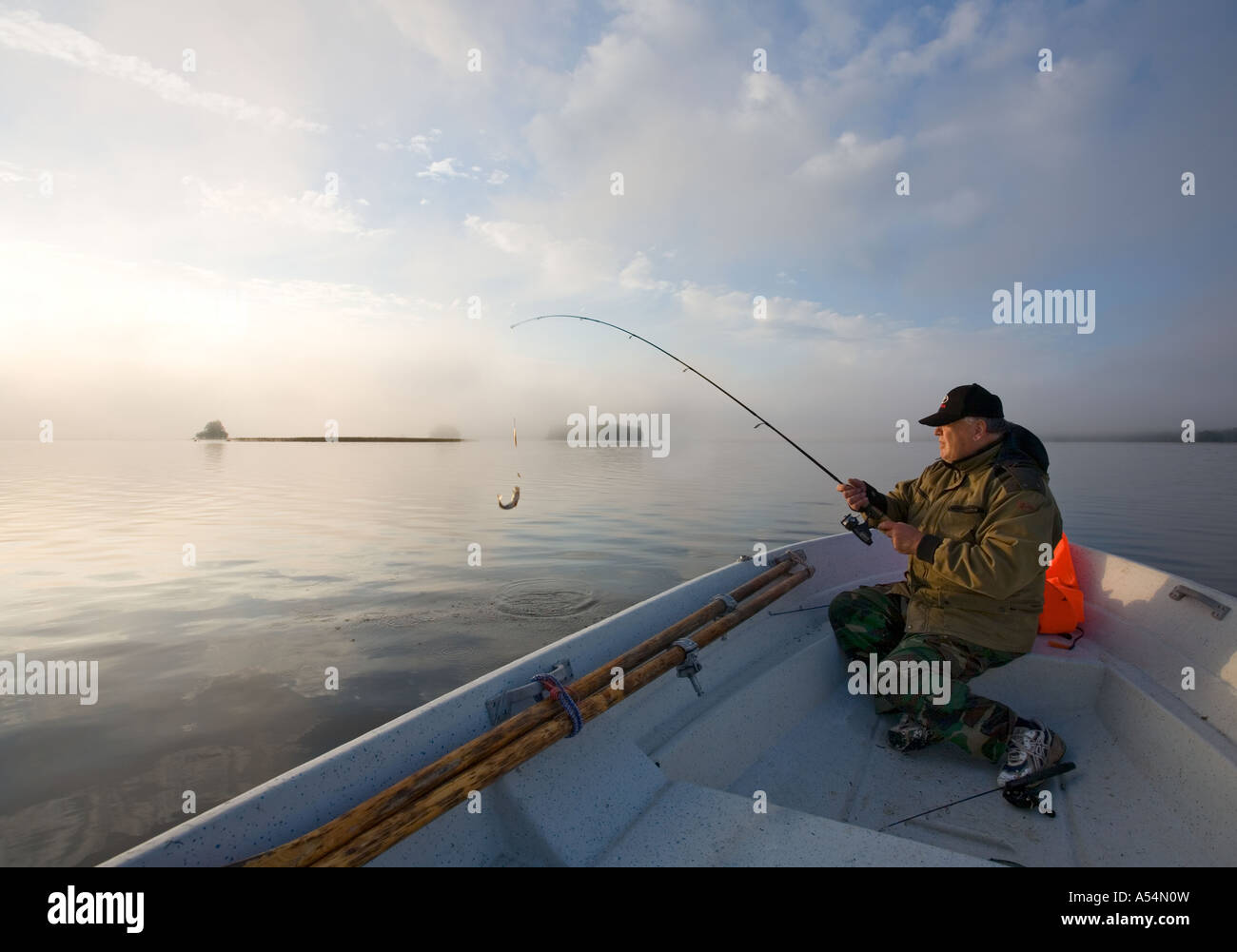 Vue d'un homme âgé pêchant à partir d'un bateau / skiff à la crack de l'aube ayant juste pris une petite perche, Finlande Banque D'Images