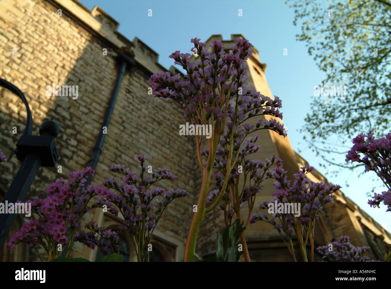 Chiswick Mall Église près de la Tamise à Londres, Angleterre Banque D'Images