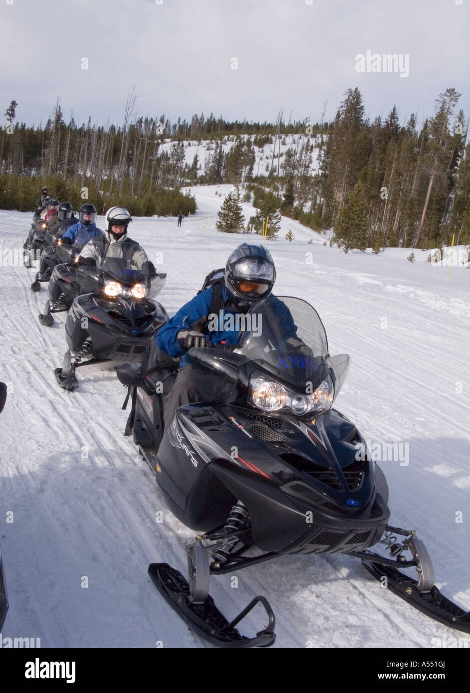 Les motoneiges dans le Parc National de Yellowstone Banque D'Images