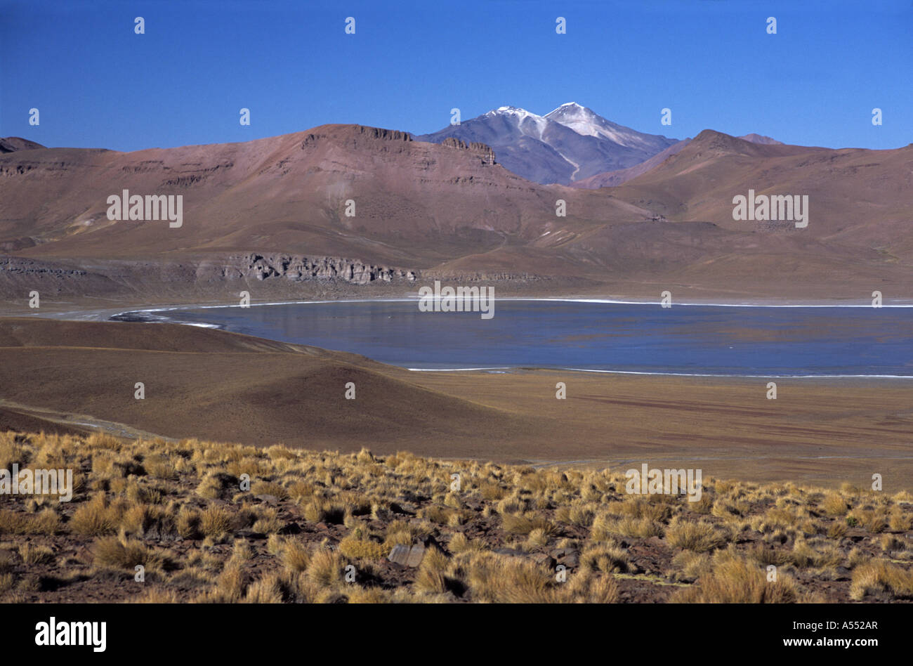 Volcan Uturuncu (6008m / 19 711ft) et lac Morijon, Cordillera de Lipez, province de Lipez Sud, Bolivie Banque D'Images