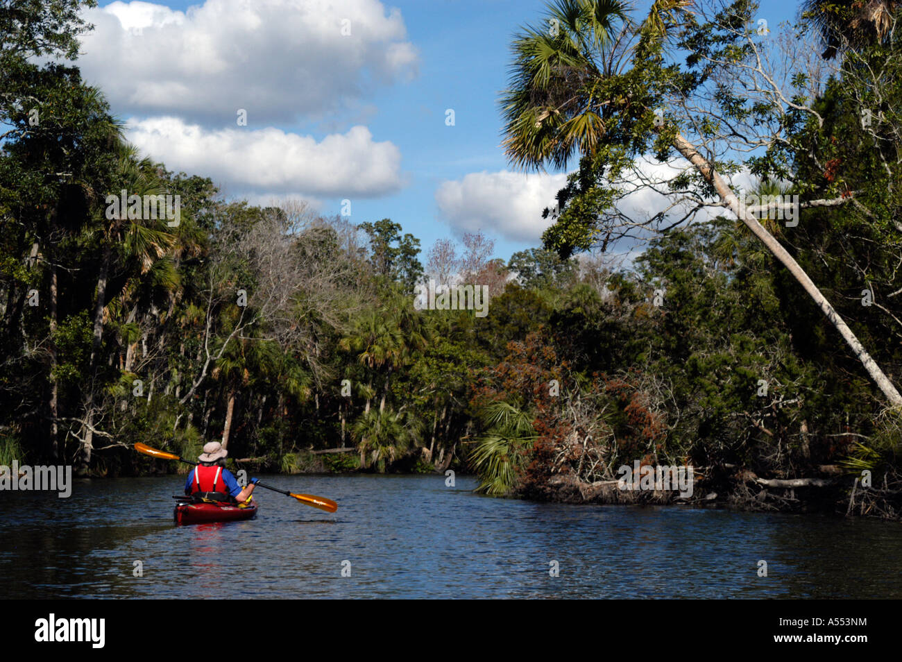 La kayakiste dans Chassahowitzka Wildlife Reserve National Wildlife Refuge Florida Gulf Coast Banque D'Images