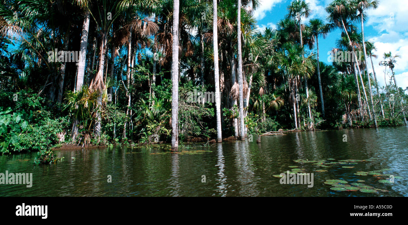 Lac Sandoval Pérou Banque D'Images