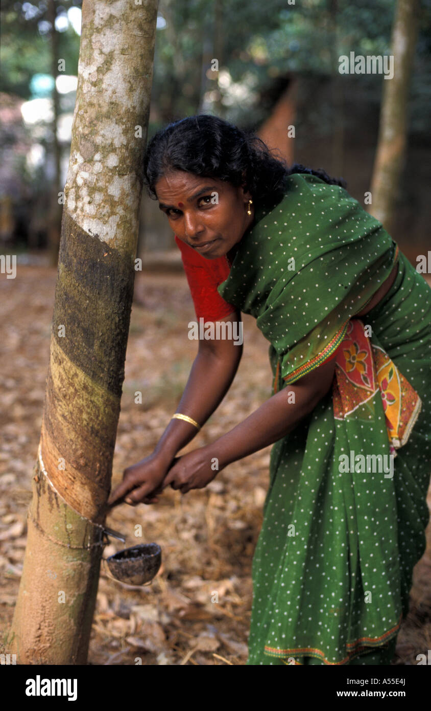 Painet ik0374 india rubber latex Farmer harvesting nagercoil Tamil nadu 2003 pays économiquement au pays en développement, Banque D'Images