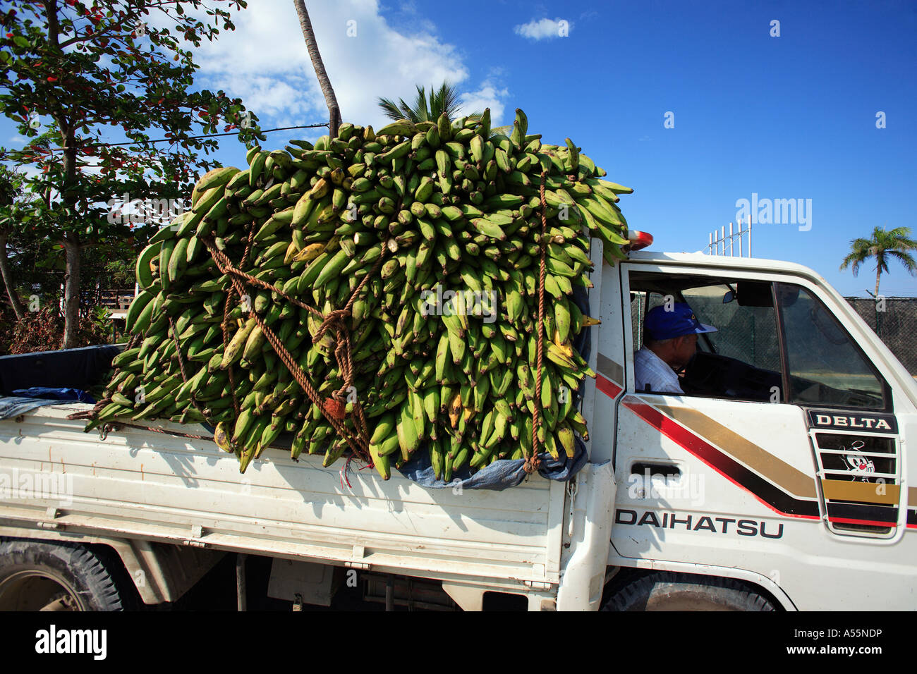 Caraïbes République dominicaine higuey sud un camion chargé de plantains Banque D'Images