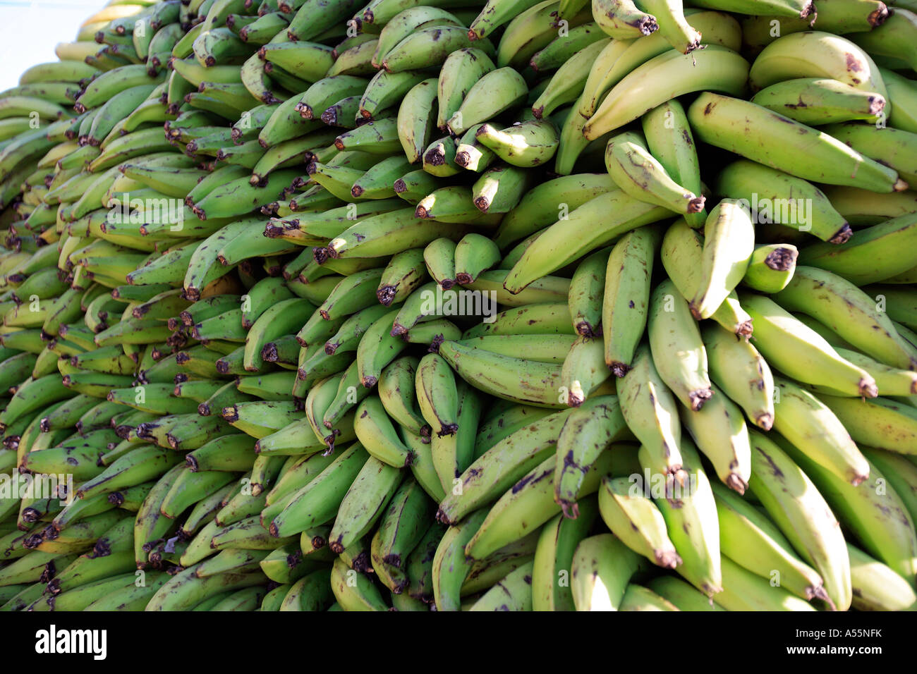 Caraïbes République dominicaine higuey sud le marché journalier Banque D'Images