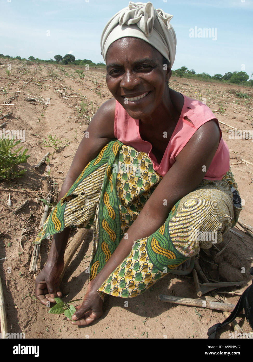 Painet1614 est agricultrice en Zambie des semis de haricots de velours vert pays lusaka économiquement moins développés Pays en développement Banque D'Images