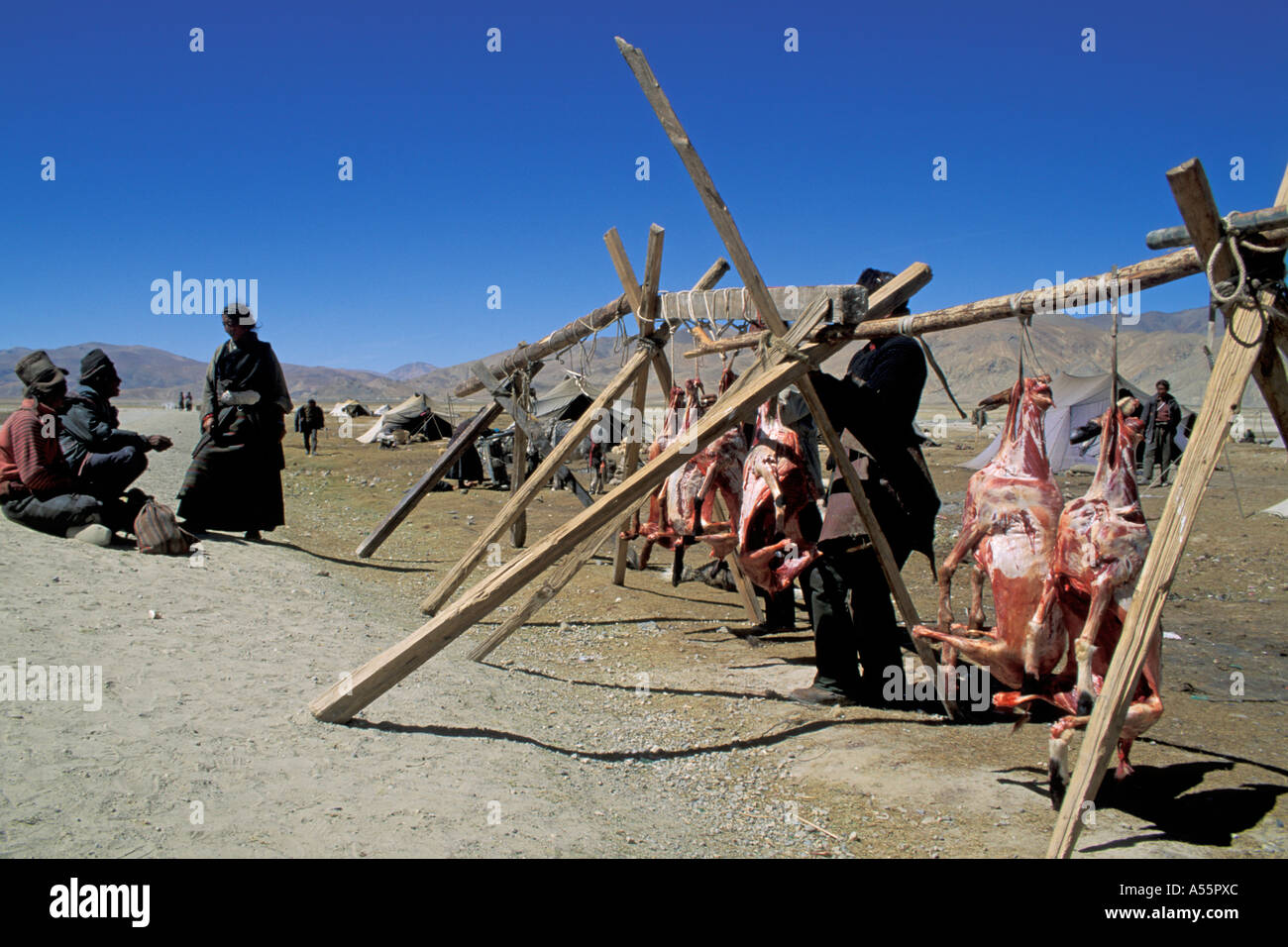 Abattage abattage nomades Tibet Banque D'Images