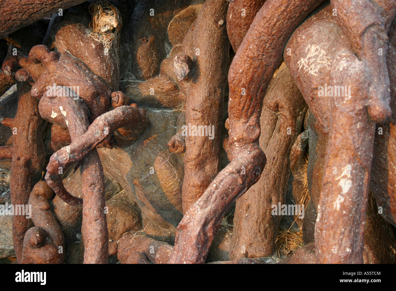 Makgadikgadi Pans Botswana Banque D'Images