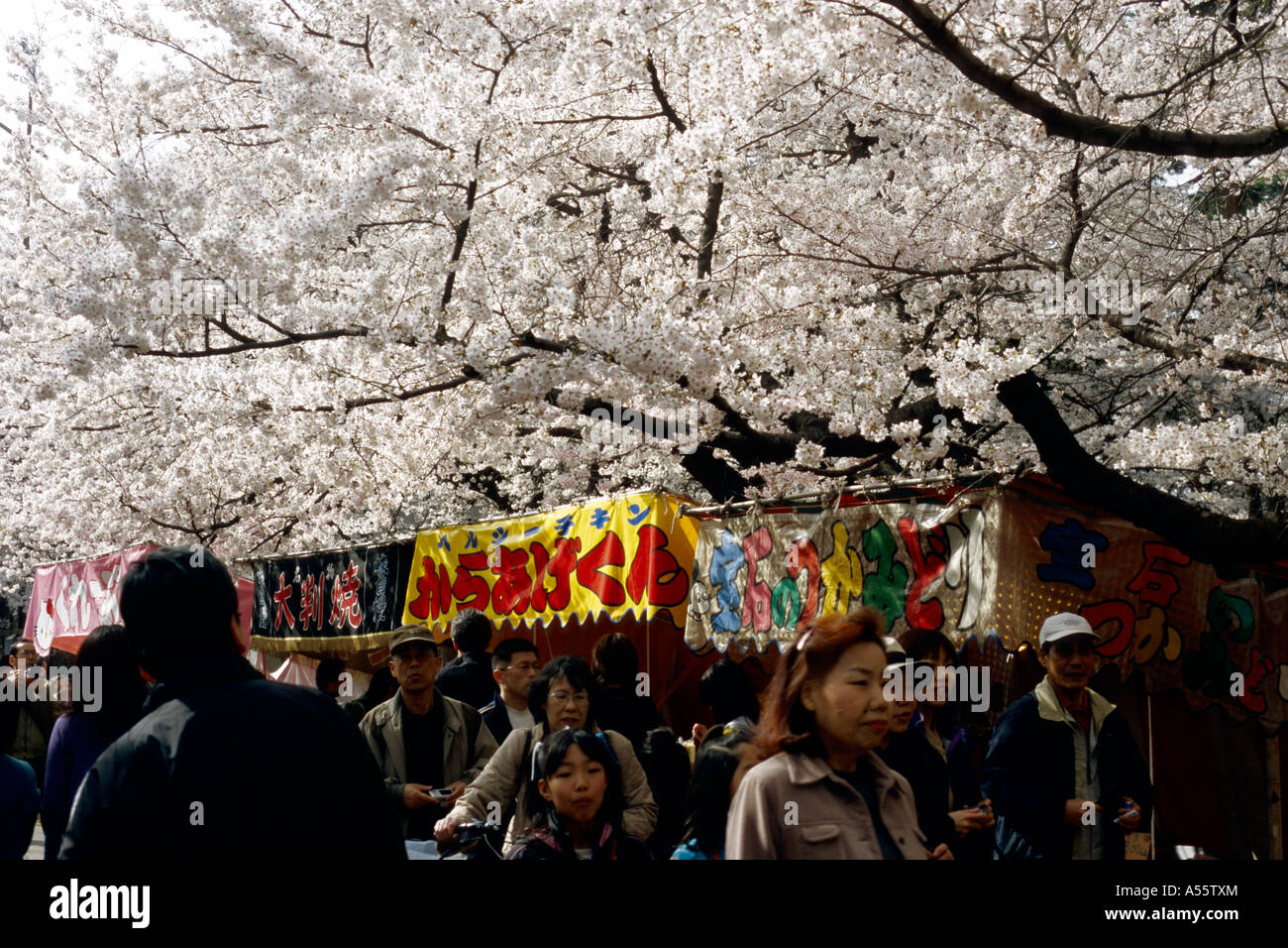 Les gens célébrant le festival Hanami au Japon à Tokyo Banque D'Images