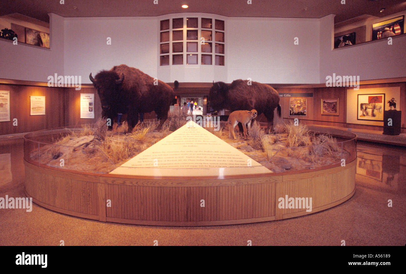 Wyoming Cody Buffalo Bill Historical Center hall de l'entrée principale de l'intérieur le bison Banque D'Images