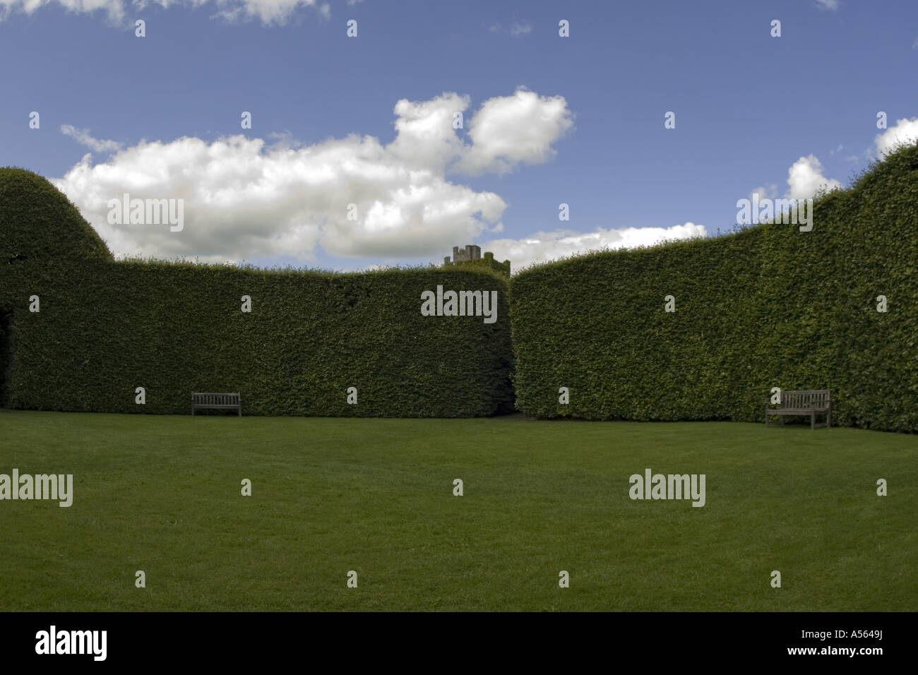 Couverture grand à Levens Hall jardin topiaire Lake District UK Angleterre Banque D'Images