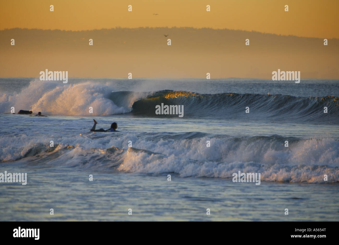 Surfer à la plage de Santa Monica Santa Monica Los Angeles County California United States Banque D'Images