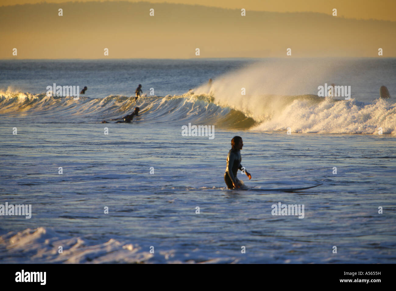 Surfer à la plage de Santa Monica Santa Monica Los Angeles County California United States Banque D'Images