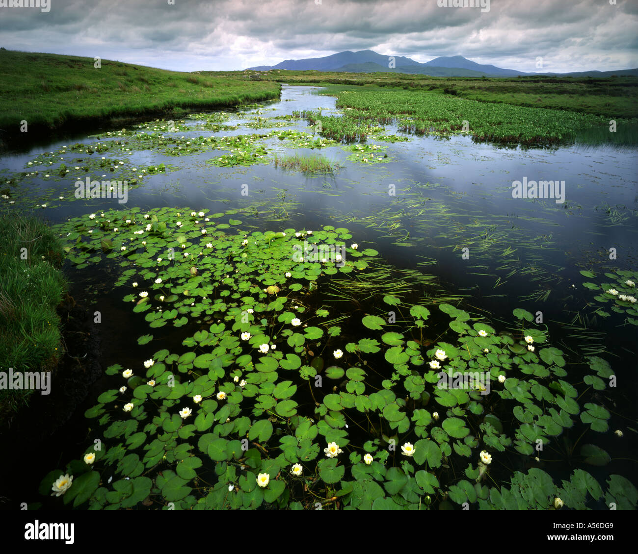 Fr - Scotland : Loch Chairnain sur South Uist montrant Mt. Et ben Corodale Hecla Banque D'Images