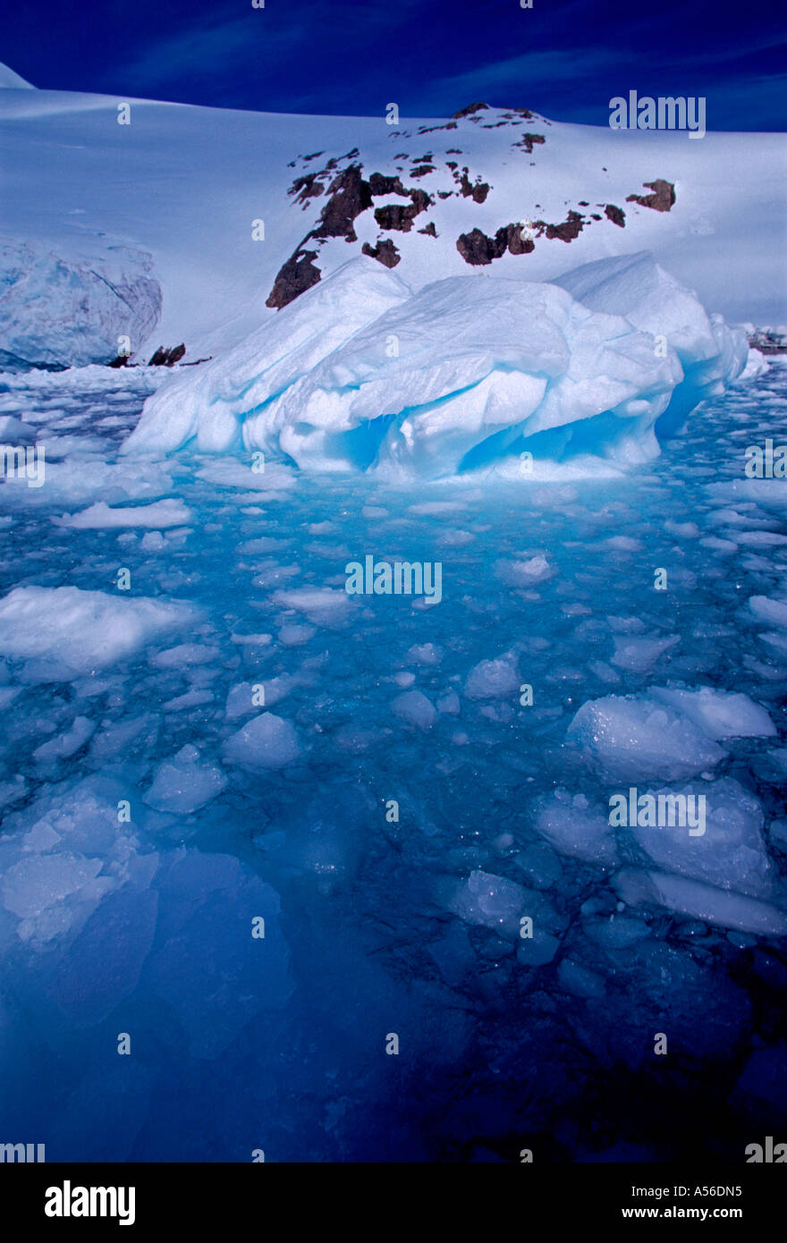 Glacier, glaciers, berry bits, affleurement rocheux de granit, petit palier,  neko harbour, neko Harbour, baie andvord, péninsule antarctique,  l'antarctique Photo Stock - Alamy