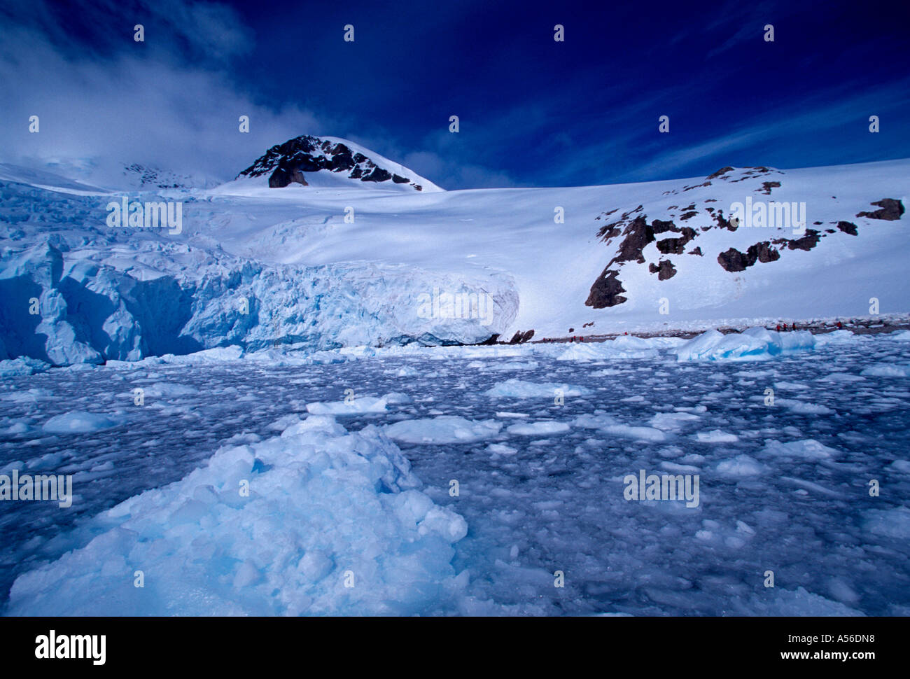 Continental glaciers Banque de photographies et d'images à haute résolution  - Alamy