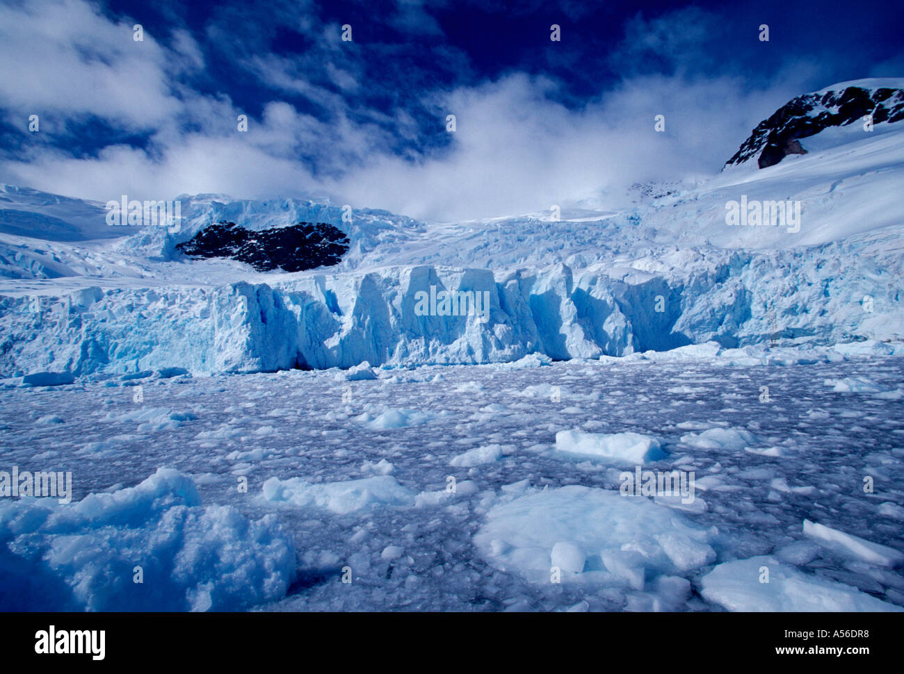 Glacier, glaciers, berry bits, affleurement rocheux de granit, petit palier,  neko harbour, neko Harbour, baie andvord, péninsule antarctique,  l'antarctique Photo Stock - Alamy