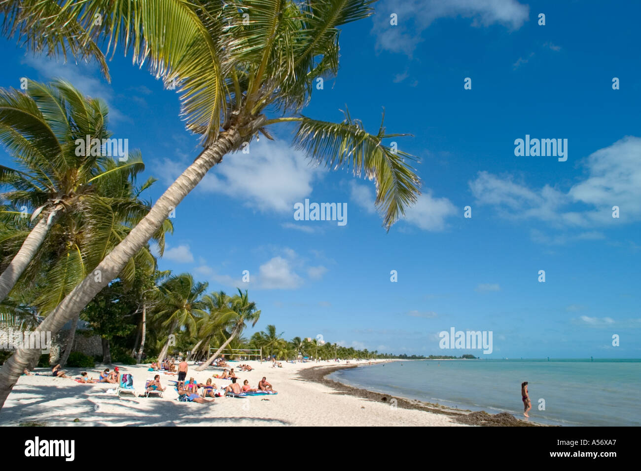 Smathers Beach, Key West, Florida Keys, USA Banque D'Images