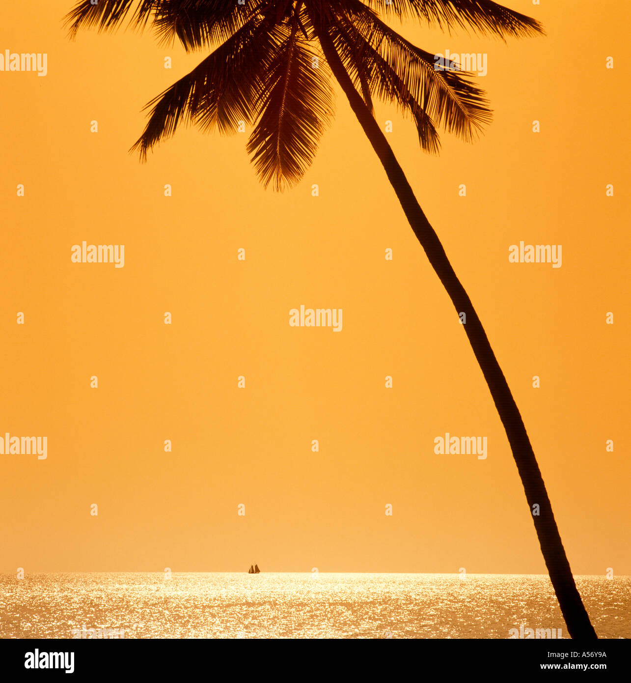 Au coucher du soleil, une goélette en bois plage, Antigua, Antilles, Caraïbes Banque D'Images